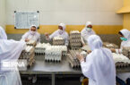 تخم مرغ همچنان کمتر از قیمت مصوب به فروش می‌رسد/ صادرات ۱۰۰ میلیون دلار تخم مرغ
