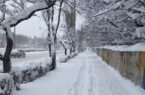 ۱۶ شهرستان ایران پذیرای برف می‌شوند