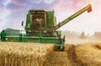 نرخ خرید تضمینی گندم کشاورزان را امیدوار می‌کند یا نه