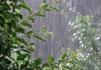 باران، تگرگ و صاعقه مهمان آذربایجان شرقی 