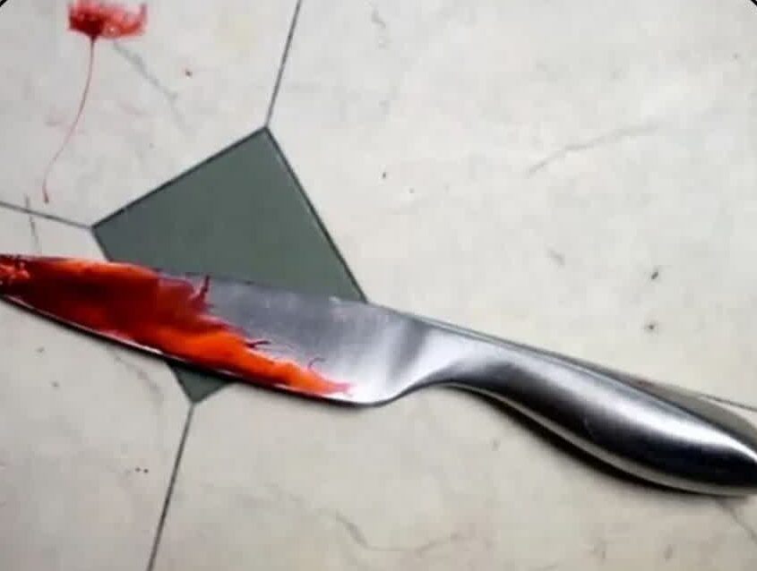 توضیحات فرمانده انتظامی بناب از قتل پدر خانواده توسط دخترش