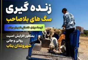 عملیات جمع‌آوری و ساماندهی سگ‌های بلاصاحب و حیوانات موذی و خطرناک در بناب؛ گامی برای ارتقای سلامت و امنیت شهروندان
