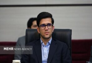 معاون وزیر نفت: قیمت بنزین برای ۸۵ درصد مردم تغییری نمی‌کند