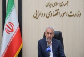 مدنیزاده: رقم نهایی افزایش اعتبار کالابرگ به زودی مشخص میشود